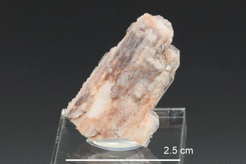 Baryte (NS/Spicers Cove)